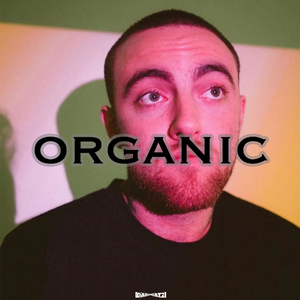 Free Chill Boombap type beat “Organic”