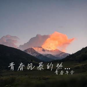 青灰古巷忆痕
