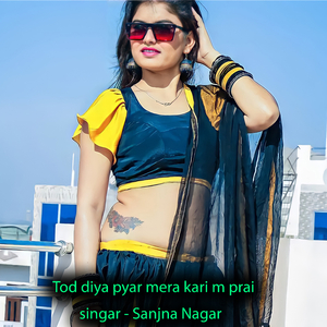 Tod diya pyar mera kari m prai