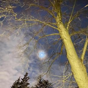 Story #66 (Freestyle interlude)