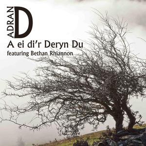 A Ei Di'r Deryn Du