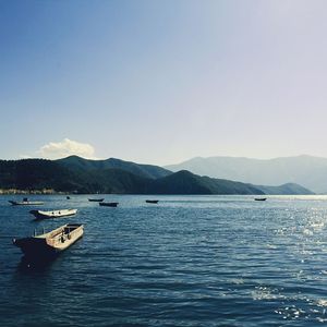 境2：几处早莺争暖树，谁家新燕啄春泥——生命的欢歌