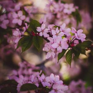 Whole Lotta Money (Sped Up)