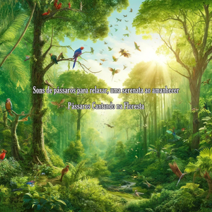Asas da Serenidade, Deixe os Pássaros Guiarem Seu Descanso
