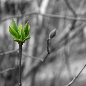 Inte vackrast i världen