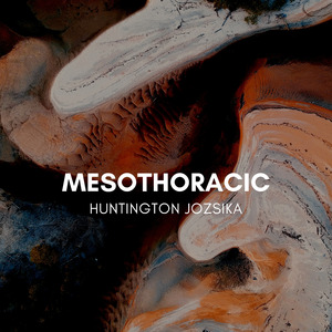 Mesothoracic