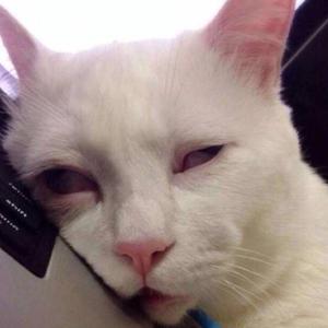 徐真真-一首关于她的歌（李秉松sssmile remix）