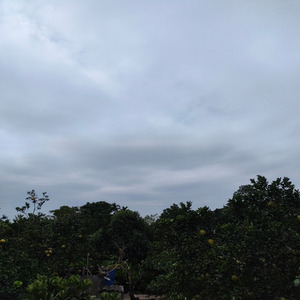 Anh That Su Khong Thick X New