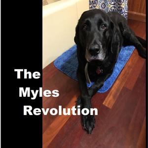 Man's Best Friend Has Left Me