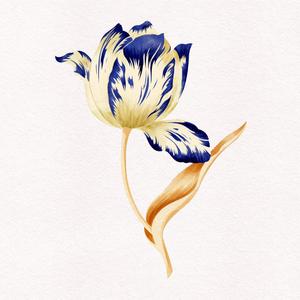 Ay Ke Buena (Valencia Session)