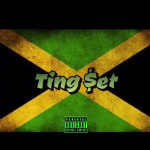 Ting $et