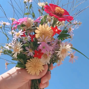 姑娘（cover王北车）