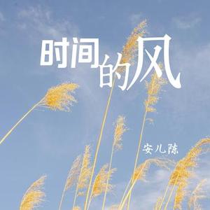 时间的风 (DJ版)