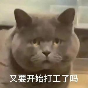 是什么样的爱情