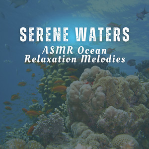 Midnight Harbor Hush