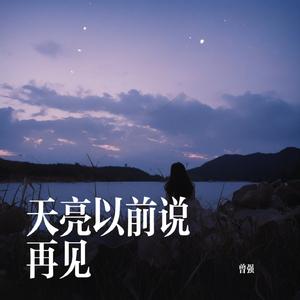 天亮以前说再见