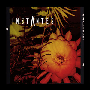 Mundo Al Revés XX (2003 Version)