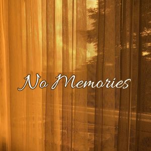 No Memories