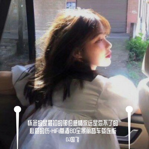 怀念的是最初的那份感情永远是忘不了的心底的伤-HiFi高清8D全景丽音车载连版