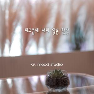 머그컵에 내려 앉은 햇살