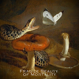 Fragile Beauty of Mortality