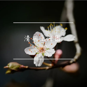 我喜欢棉花糖 伴奏