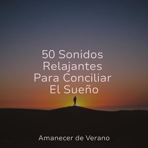 Misterioso Amanecer Arrebatador