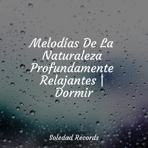 Disolvente De Problemas