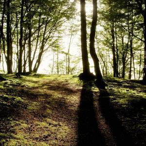 বল আল্লাহ এক ও অদ্বিতীয়