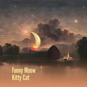 Funny Meow Kitty Cat