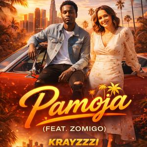 Pamoja (feat. ZoMiGo)