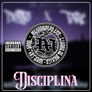 Disciplina