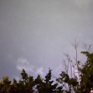 おやすみ泣き声，さよなら歌姫