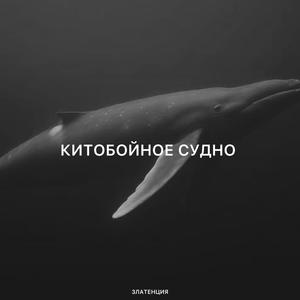 Китобойное судно