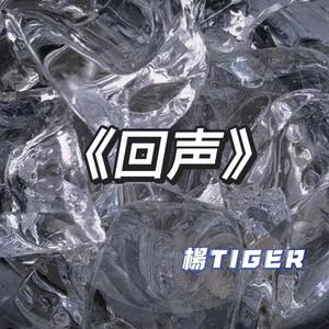 《回声》（prod by evomusic）