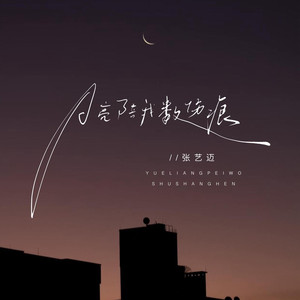月亮陪我数伤痕