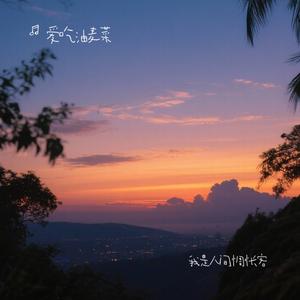 我是人间惆怅客 (原版)