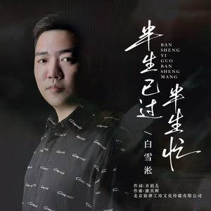 半生已过半生忙