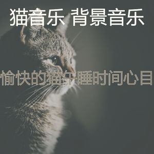微妙的睡猫心情