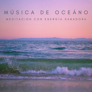 Animación Paliativa