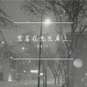 雪落在先生肩上
