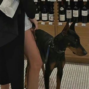 算了_姜姜姜姜(1)