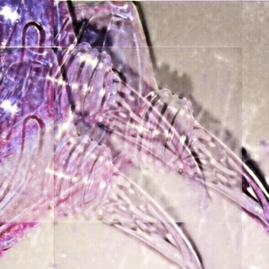 fractured (aoq flip)