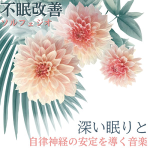 自律神経と脳のための安眠音楽