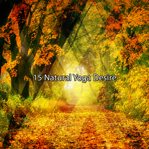 自然之声艺术家