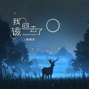 我该回去了 - 伴奏