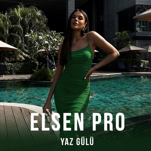 Yaz Gülü