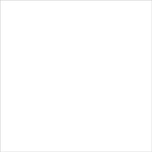 ボクはオトナに成れてしまった