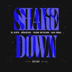Shake Down (feat. Don Venal, Young Ruthless & Wok3star)