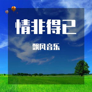 SDM发货